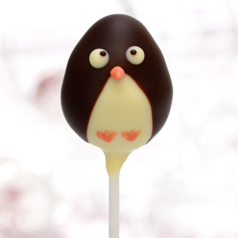 Praliné Pop Pinguin-Himbeer-Crunch